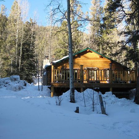 Cabin By The Creek With High Speed Wifi Red River Extérieur photo