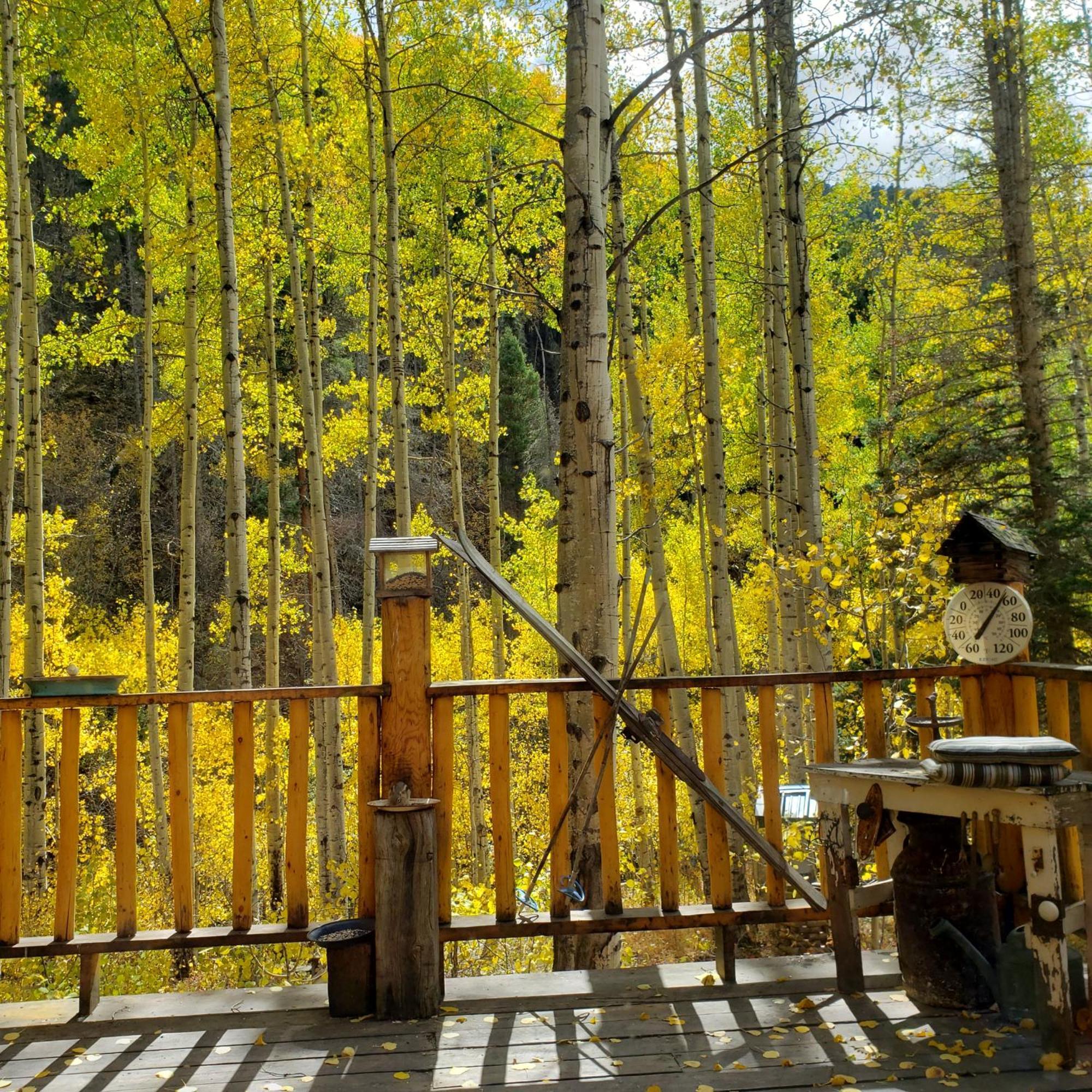 Cabin By The Creek With High Speed Wifi Red River Extérieur photo
